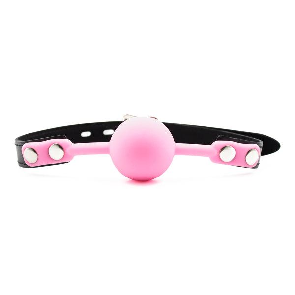 BALL GAG W/LOCK PINK/BLACK