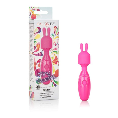 TINY TEASERS BUNNY