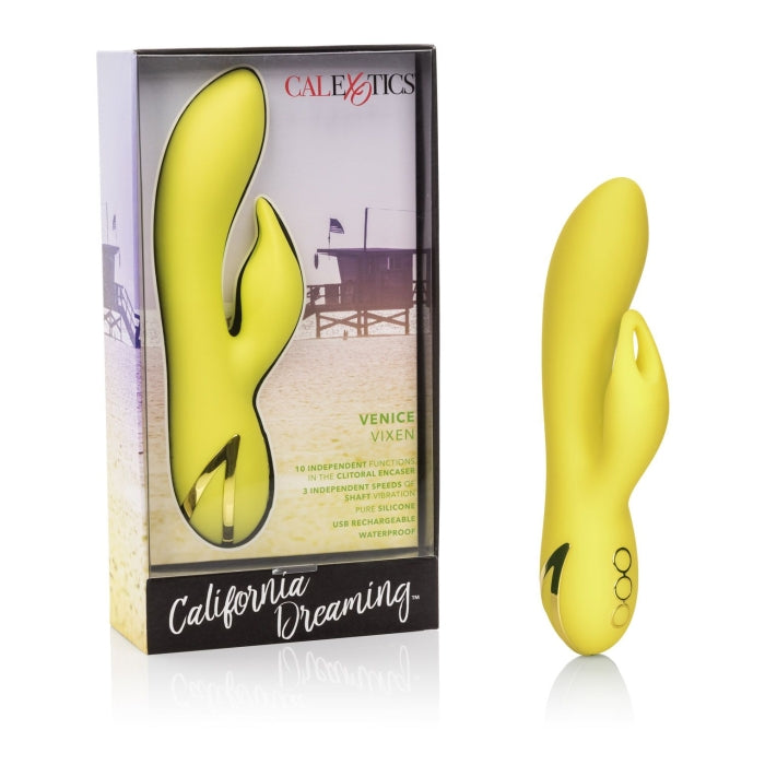 CALIFORNIA DREAMING VENICE VIXEN